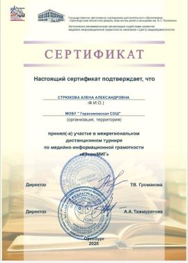 Межрегиональный турнир по медийно-информационной грамотности «#ЗнаюМИГ»